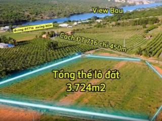 Lô đất view trực diện bàu trắng cách biển 8 phút, gần sungroup sổ đỏ chỉ với 1,85 tỷ sở hữu 3.724m2
