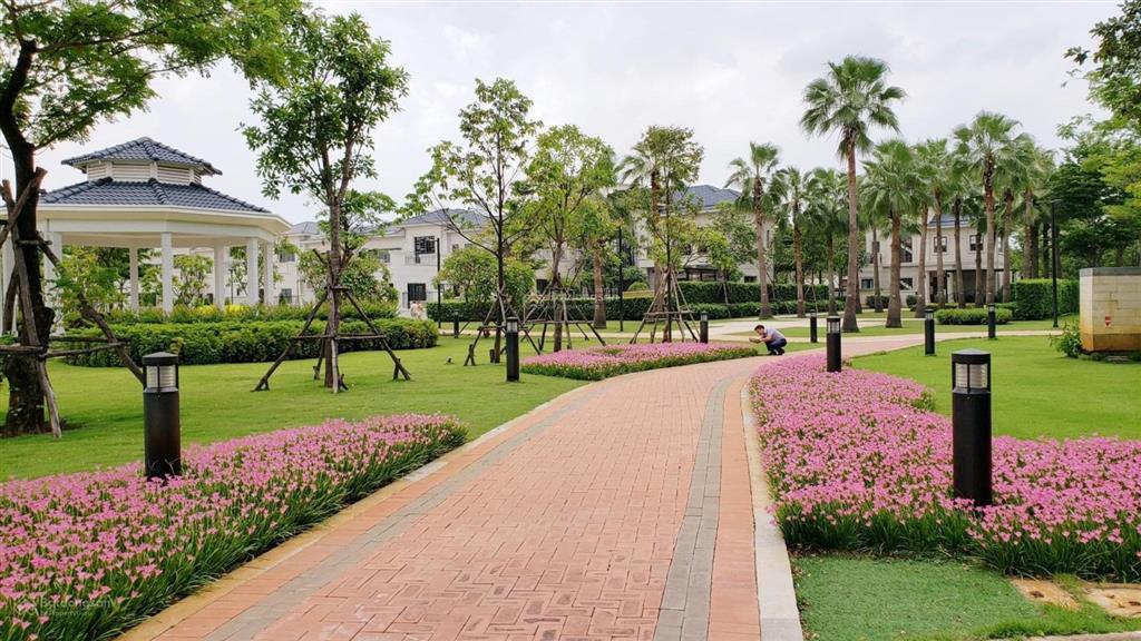 Bán nhà phố swanbay zone 8, vị trí rất đẹp 2 mặt thoáng, gần khu tiện ích, giá tốt dự án