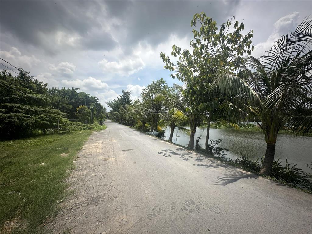 Hàng hiếm! dt 1.531m2 (23x70m) sổ sẵn  view sông  đường nhựa 5m  cổng chào bình dương ql13