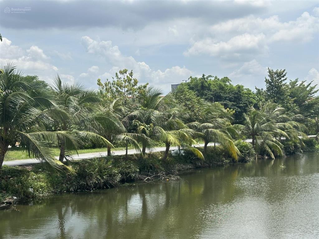 Hàng hiếm! dt 1.531m2 (23x70m) sổ sẵn  view sông  đường nhựa 5m  cổng chào bình dương ql13