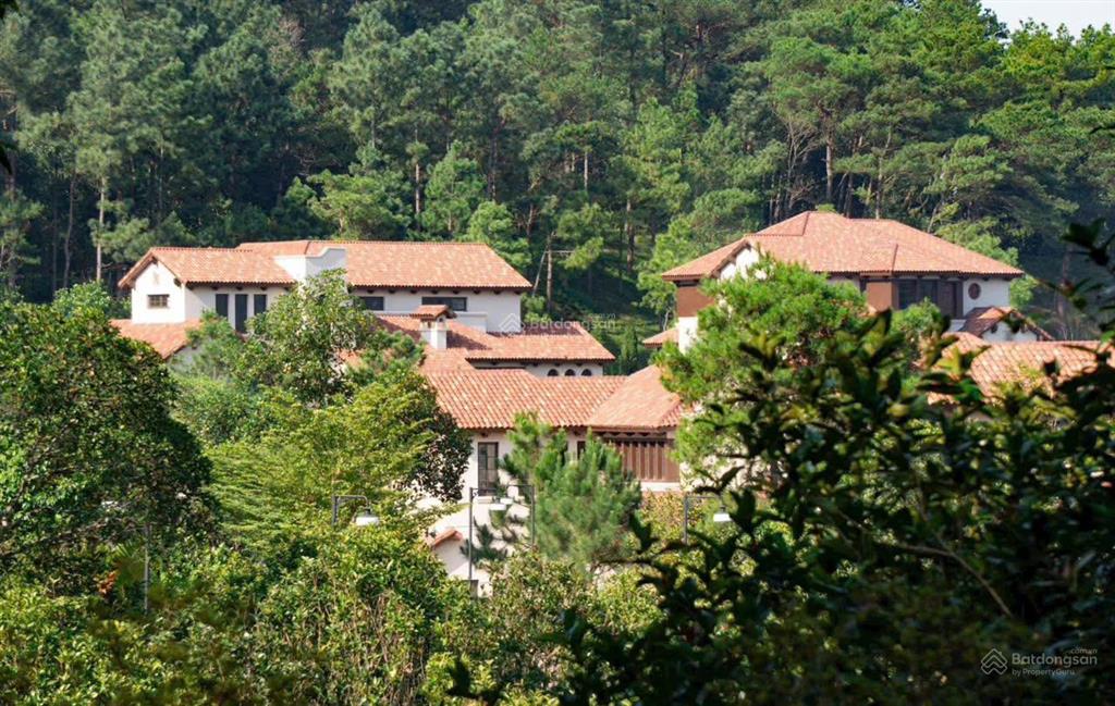 Chính chủ cần thanh khoản gấp biệt thự song lập thanh xuân valley 198m giá tốt nhất thị trường