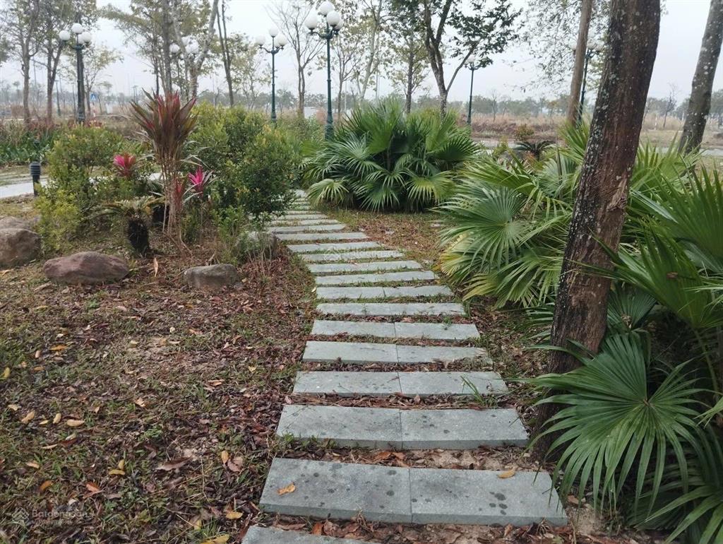 Đất nền tnr bỉm sơn sắp ra sổ, cơ hội đầu tư giá gốc