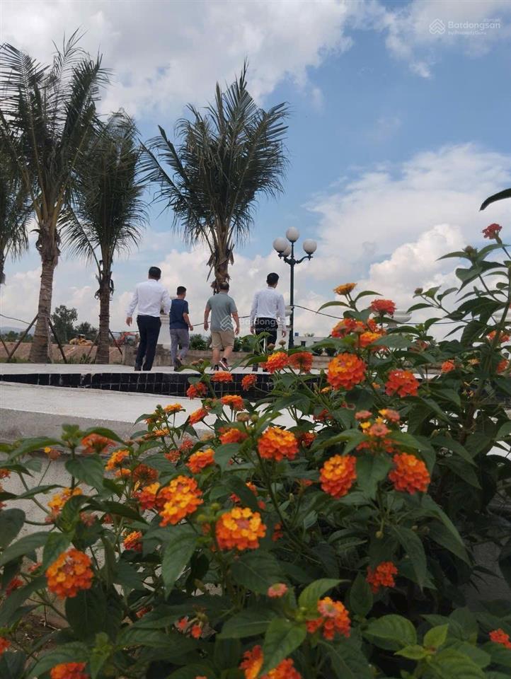 Đất nền tnr bỉm sơn sắp ra sổ, cơ hội đầu tư giá gốc