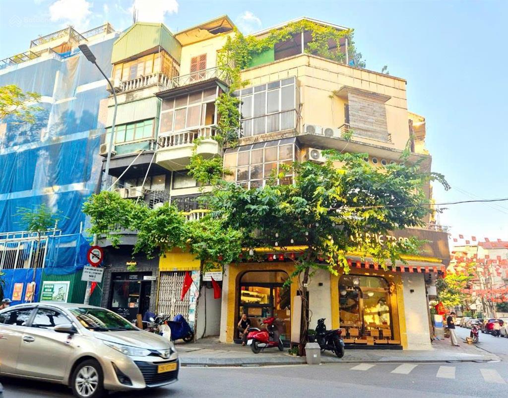 Hàng hiếm, lô góc | mặt phố văn miếu | 51m² | mặt tiền 5.5m | giá chỉ 32.9 tỷ