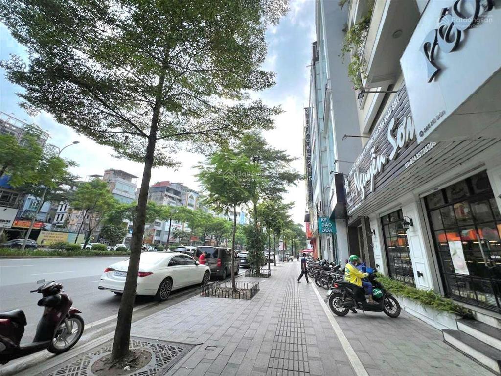 Siêu phẩm | mặt phố xã đàn | 50m2 x 5 tầng | mặt tiền 7m | giá bán 42.5 tỷ