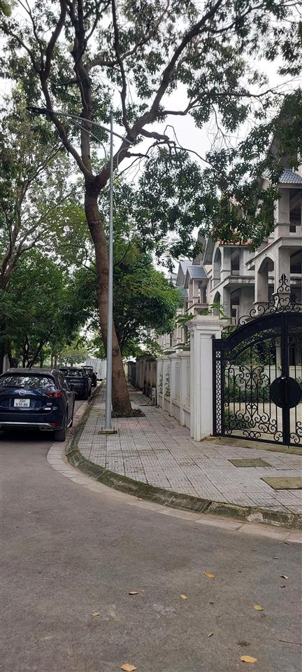 Chính chủ bán đất dịch vụ dương nội, hà đông. dt 45.9 m2. giá 7x nhỏ