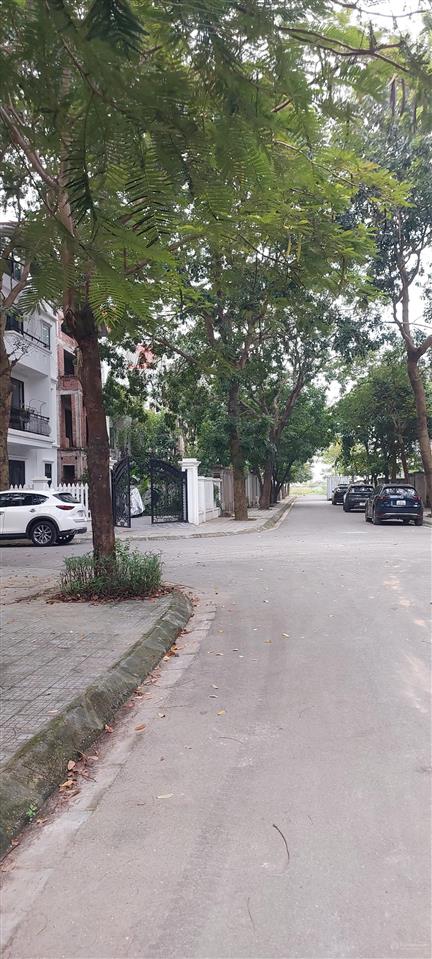 Cc bán 60m2 đất dịch vụ xã an khánh 165tr/m2