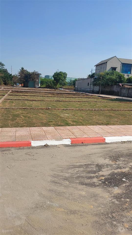 Chính chủ bán 150m2 đất đấu giá đại đồng giá 3x