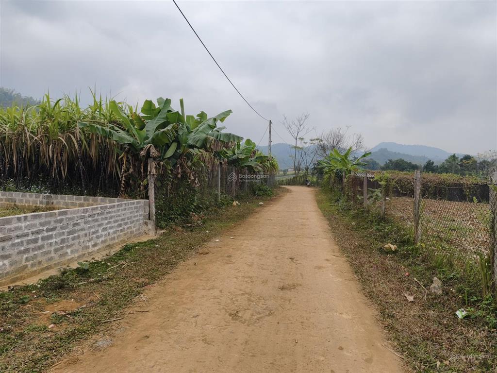 Bán đất tại xã hợp phong, cao phong, hòa bình cũ, giá siêu hời 568 triệu, diện tích 419 m2