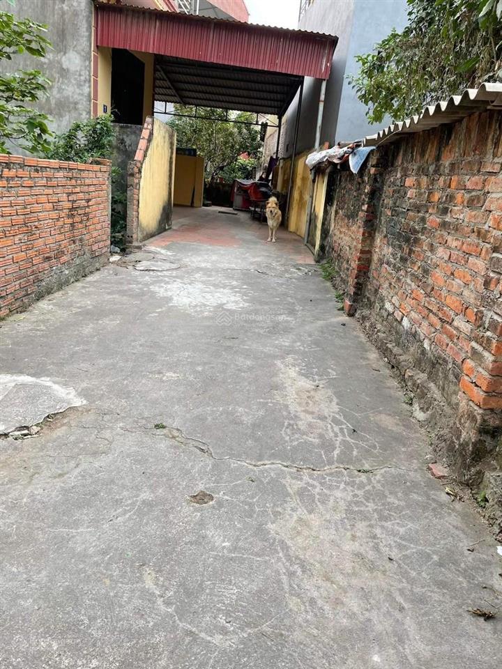 Cần bán đất phố trạm long biên 60m2 mặt tiền 5,6m