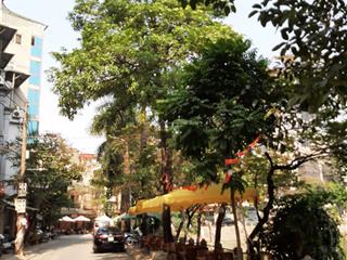 Nhà mới  thang máy cạnh hồ kim liên, 33m2, 6 tầng, chỉ 9.6 tỷ.