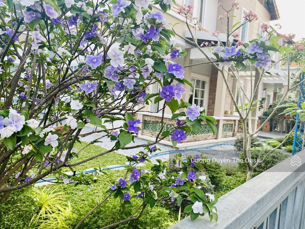 Cần bán căn biệt thự góc đẹp 384m2 tại làng chuyên gia the oasis. cạnh aeon sân gôn sb. 0975 362 ***