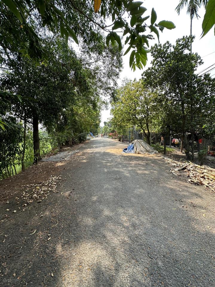 Bán 3.932m2 đất nông nghiệp ở tân hiệp, hóc môn