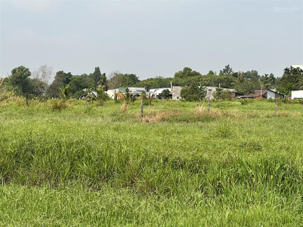 Bán 3.932m2 đất nông nghiệp ở tân hiệp, hóc môn