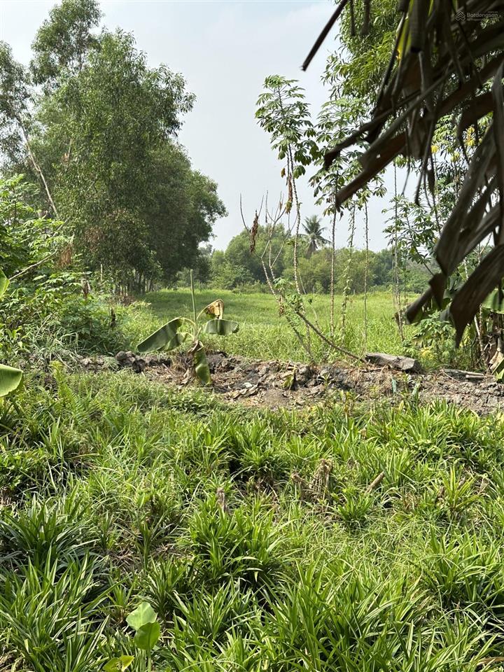 Bán 3.932m2 đất nông nghiệp ở tân hiệp, hóc môn