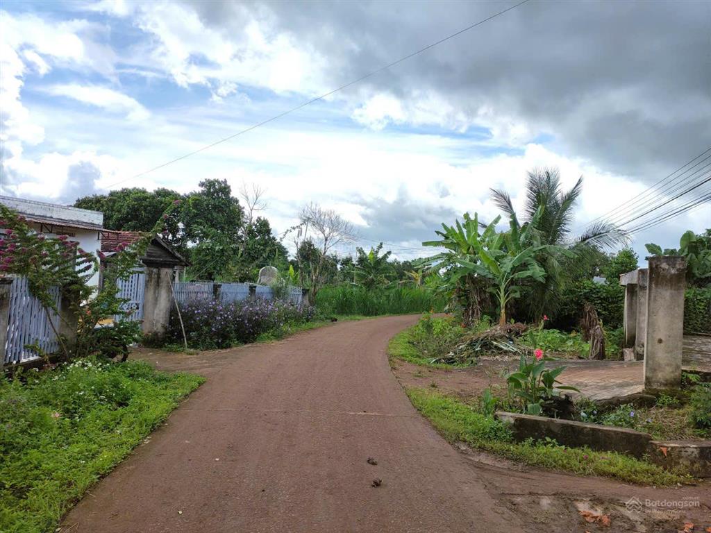 Bán 2000 m2 đất (100 thổ cư) 600tr
