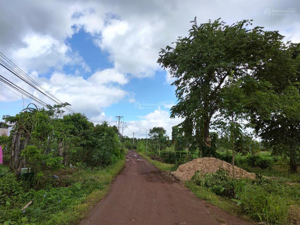 Bán 2000 m2 đất (100 thổ cư) 600tr