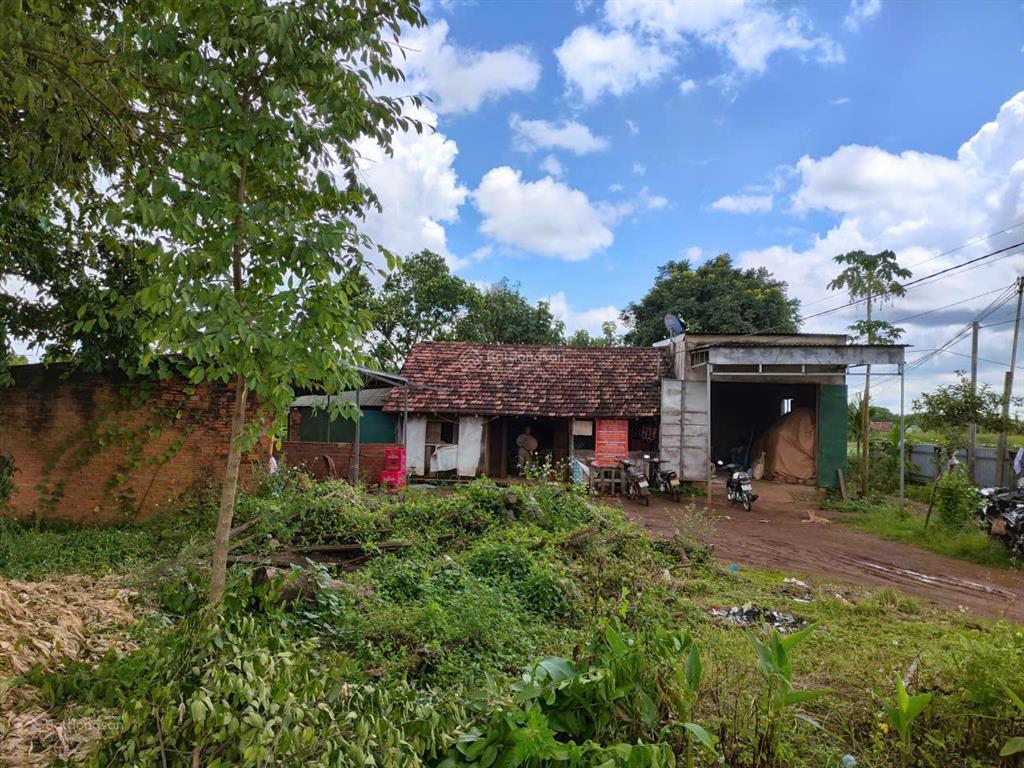 Bán 2000 m2 đất (100 thổ cư) 600tr