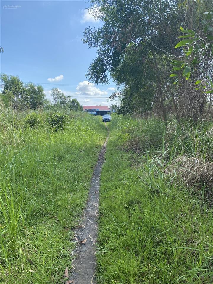 Bán hơn 5,87ha đất (hơn 5,2ha skc, 0,6ha luc)