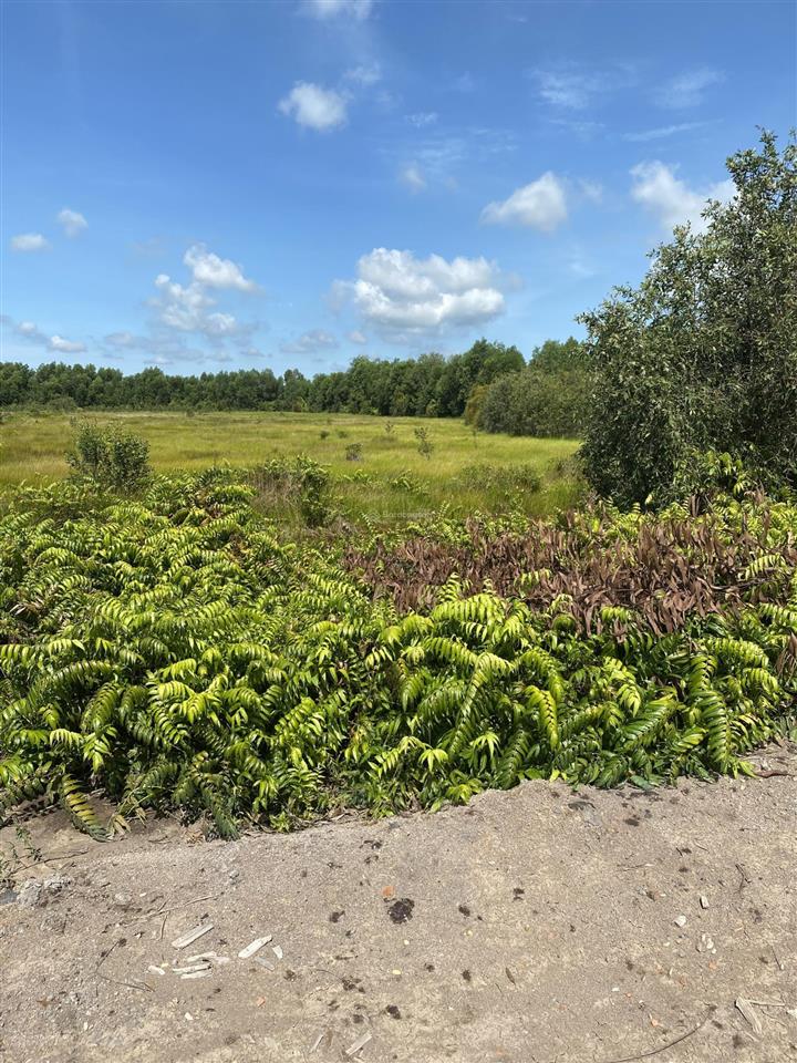 Bán hơn 5,87ha đất (hơn 5,2ha skc, 0,6ha luc)