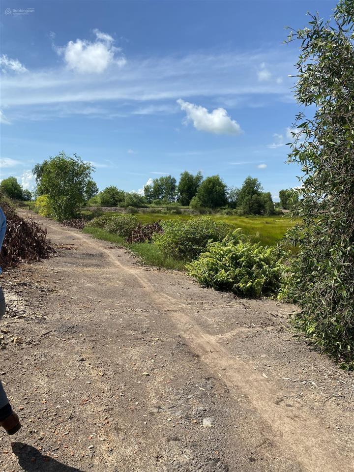 Bán hơn 5,87ha đất (hơn 5,2ha skc, 0,6ha luc)