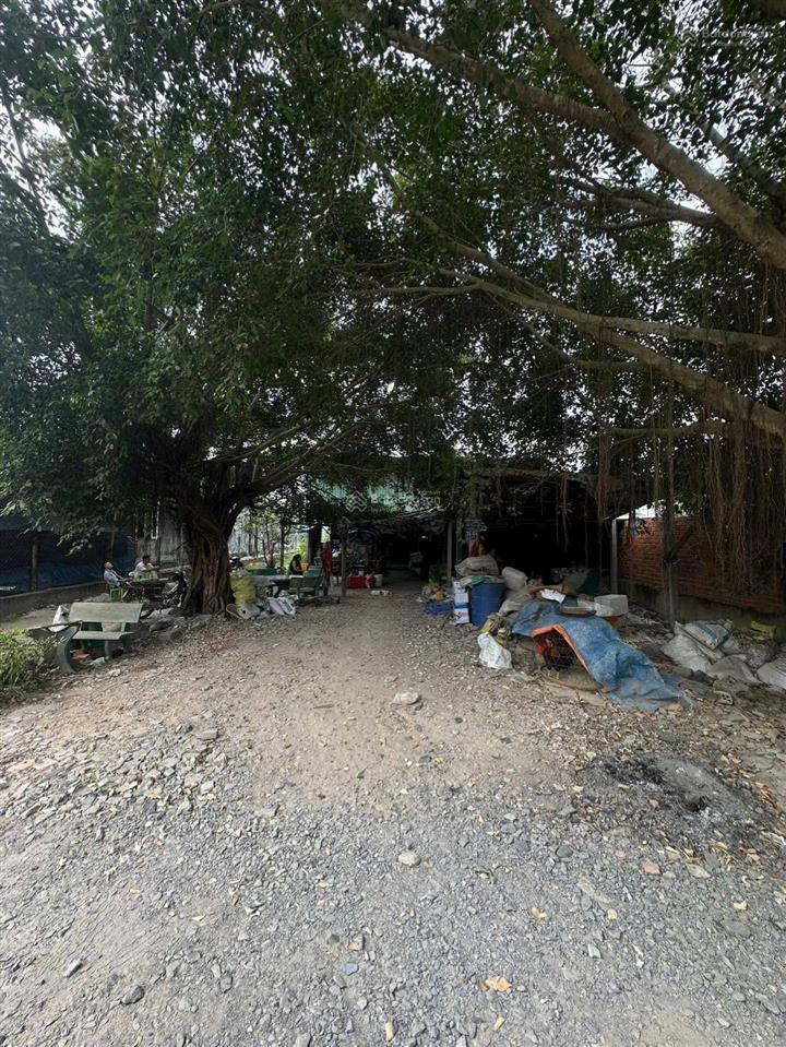 Bán 583,5 m2 (34,5 m2 ont, 549 m2 cln) gần chợ phước thạnh, củ chi 1,39ty