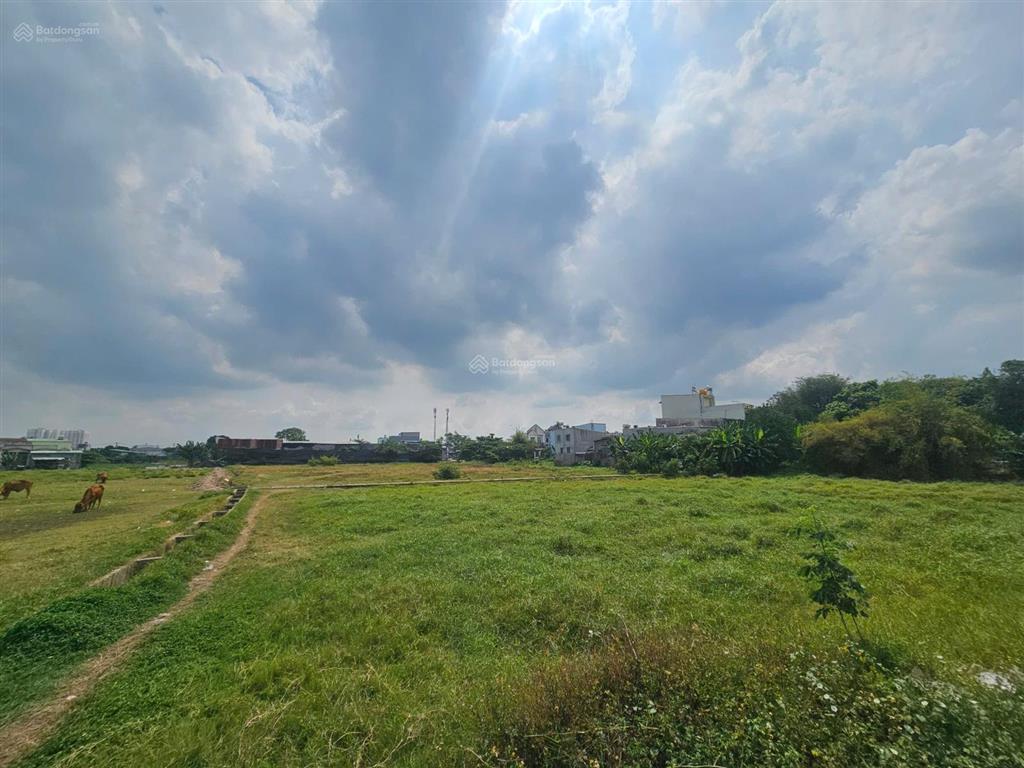 Bán 5,368.5m2 cln (quy hoạch lên thổ) ở bà điểm, hóc môn, tp. hồ chí minh 35tỷ