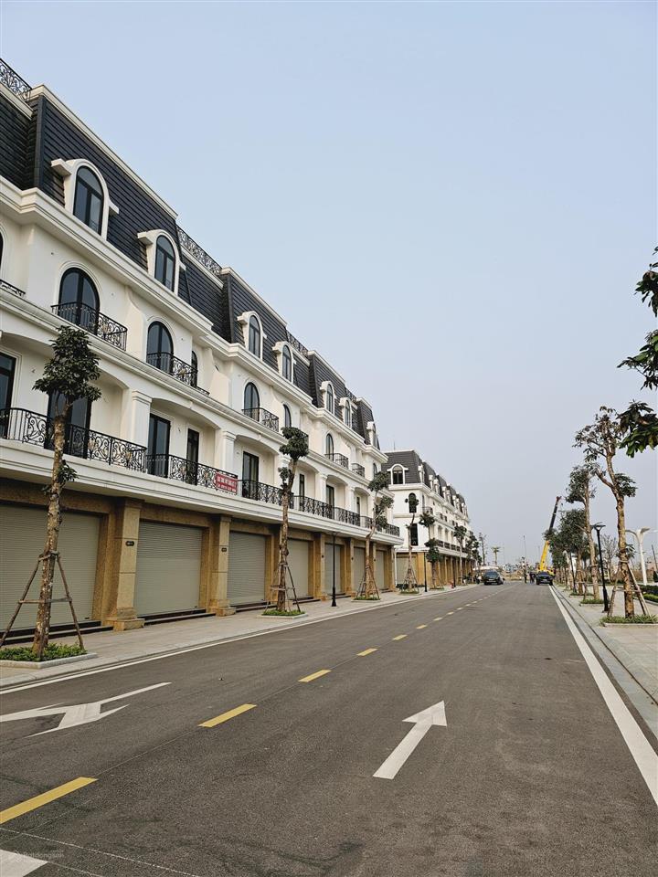 Độc quyền căn liền kề đối diện công viên, đẹp nhất dự án hoàng huy green river giá chỉ hơn 7 tỷ