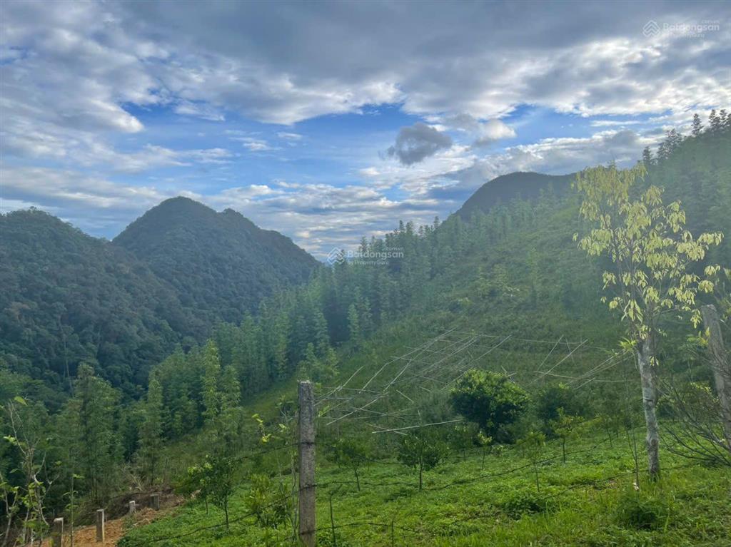 Cơ hội làm homestay famrstay tại son bá mười cách pù luông 20km
