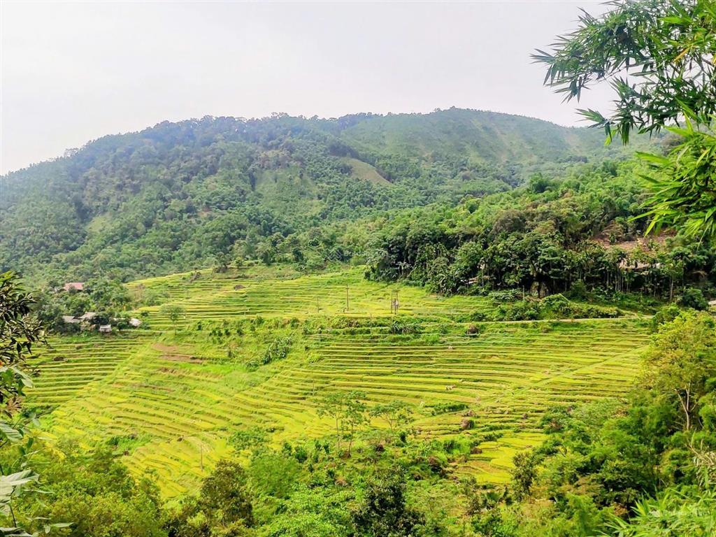 Bán mảnh đất khu du lich pù luông thanh hóa view ruộng bậc thang