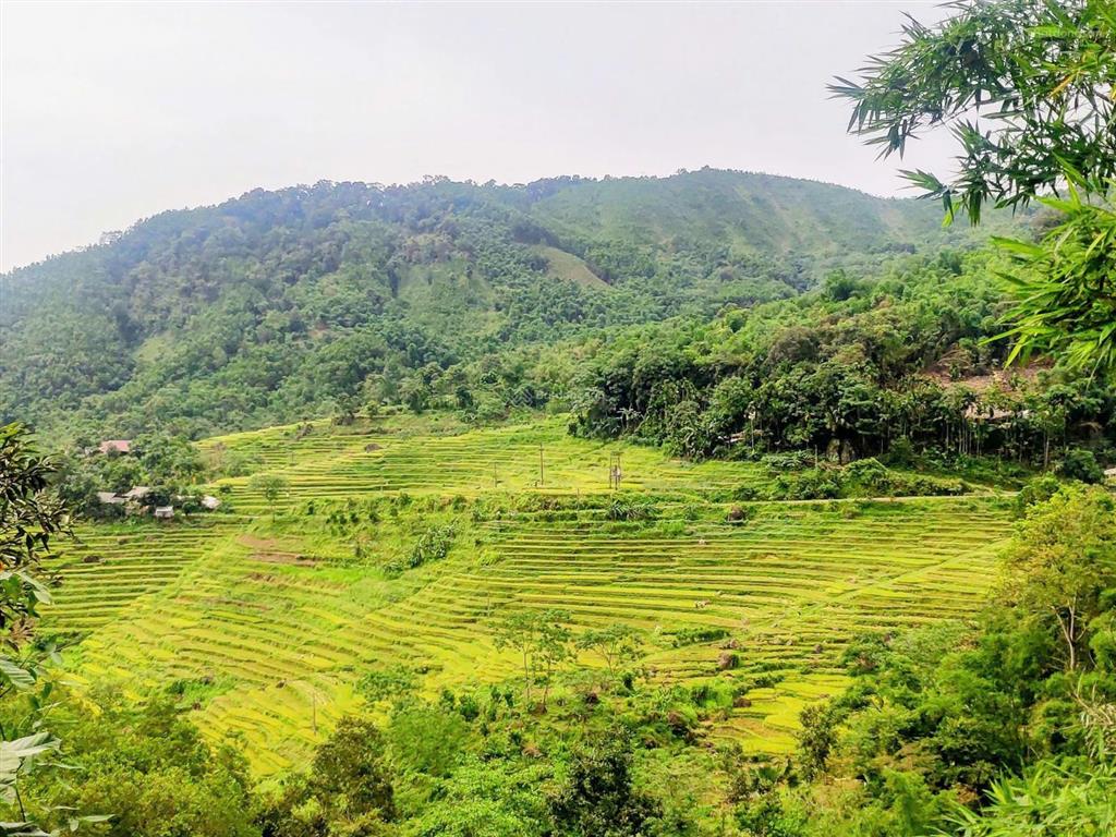 Bán mảnh đất khu du lich pù luông thanh hóa view ruộng bậc thang