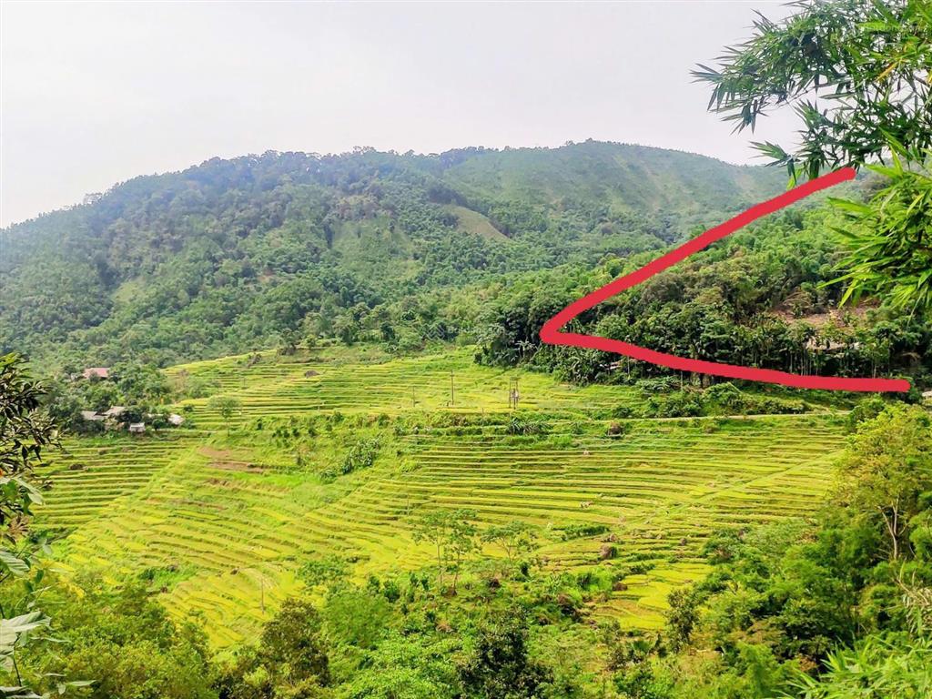 Bán mảnh đất khu du lich pù luông thanh hóa view ruộng bậc thang