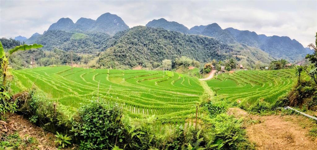 Bán mảnh đất khu du lich pù luông thanh hóa view ruộng bậc thang