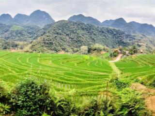 Bán mảnh đất khu du lich pù luông thanh hóa view ruộng bậc thang
