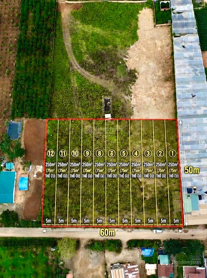 Siêu phẩm đất nền tại xã đức trọng (lâm đồng)  lõi đầu tư  sinh lời bền vững