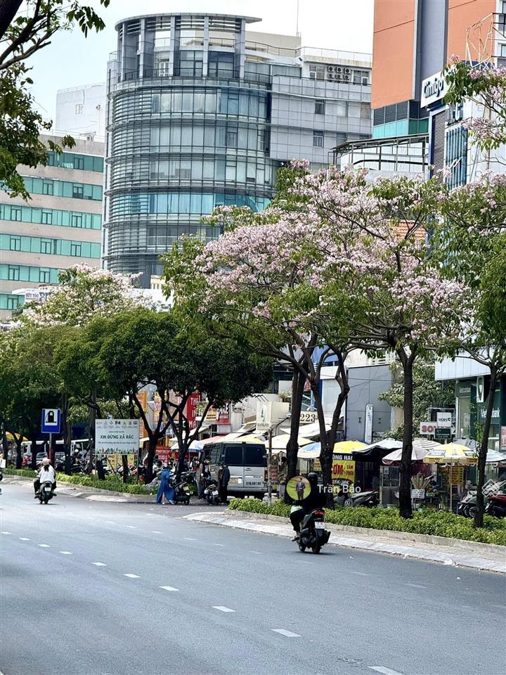 Siêu phẩm! mặt tiền điện biên phủ, bình thạnh. 7x20m  3 tầng. hđt 70tr/th. giá chỉ 30 tỷ