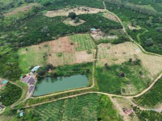 Bán đất đẹp 32.314m2, đường ô tô, mt 390m, có nhà trên đất, view đẹp, ninh gia đức trọng