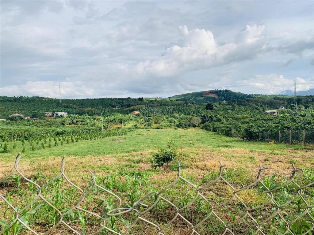 Đất đẹp đức trọng, dt 6.769m² mặt tiền đường nhựa, view đẹp, chuyển được full thổ cư, đã xây nhà