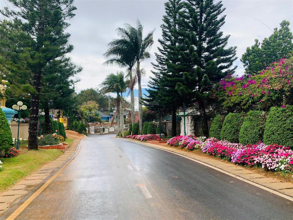 Cần bán biệt thự pháp 2 mt đường đống đa, đà lạt, dt 964m2, view đẹp, gần hxh, khu phố nhà giàu