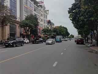 Bán đất tđc nguyễn mậu tài, gia lâm, diện tích 113m, ô tô tránh, vỉa hè, kinh doanh, giá 16,x tỷ