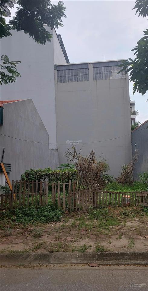 Bán đất tđc 7,2ha nguyễn mậu tài, trâu quỳ, gia lâm, dt 55m, mt 4,2m, ô tô tránh, nhỉnh 11 tỷ