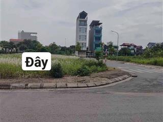 Bán gấp đất tđc kim sơn, gia lâm, dt 80m, lô góc hai mặt tiền, đường ô tô tránh, vỉa hè, giá 8,x tỷ