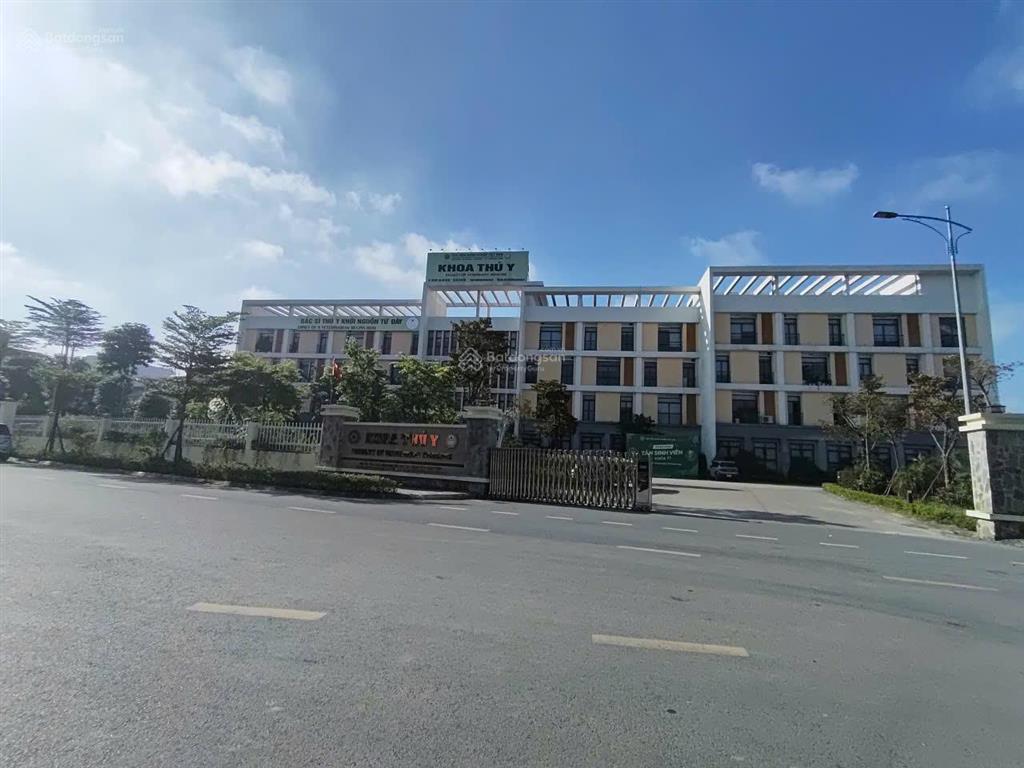 Bán đất ngô xuân quảng, gia lâm, dt 250m, mặt tiền 11,2m, đường ô tô tránh, kinh doanh, giá 42,x tỷ
