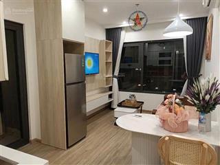 Bán căn hộ 1pn, 1wc tại vinhomes smart city, 3,15 tỷ, 34m2
