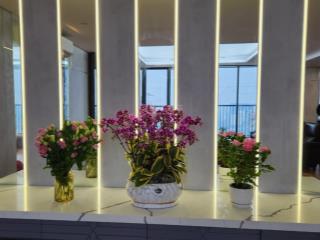 Cần bán rất gấp căn hộ 5pn dolphin plaza 380m2 ban công hướng đb view nhìn thành phố rất thoáng