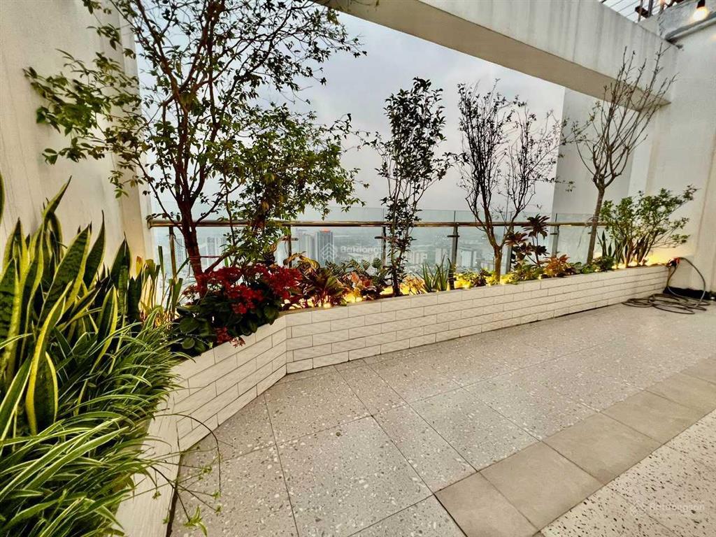 Cần chuyển nhà, bán gấp căn hộ cc starlake tây hồ tầng trung ban công đn 110m², 3pn giá 16,5 tỷ