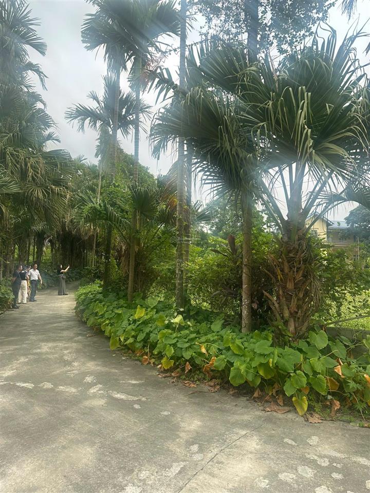 Bán dn 80m2 tại liên xã, lương sơn, giá cực chất 800 triệu
