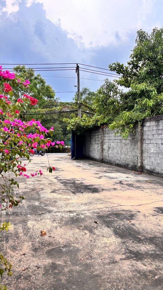bán kho xưởng sổ hồng 2 mặt tiền đường kênh a giao trần văn giàu đang có sẵn hợp đồng thuê