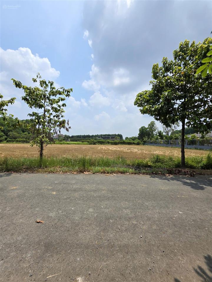 Bán đất cù lao 27x53m, p. thạnh hội tp. tân uyên kế sông đồng nai