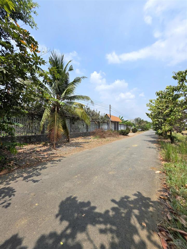 Bán đất cù lao 27x53m, p. thạnh hội tp. tân uyên kế sông đồng nai